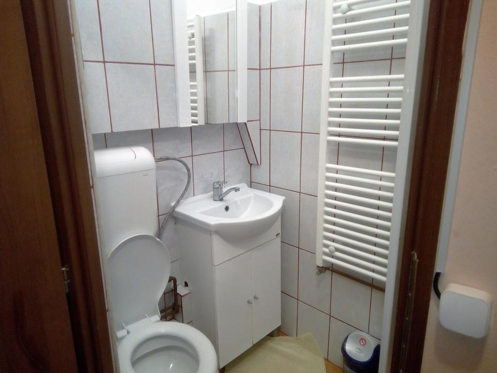 Apartament Central Adriana Сибиу Екстериор снимка